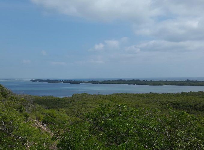 Reserva Nacional de Pomene em Moçambique