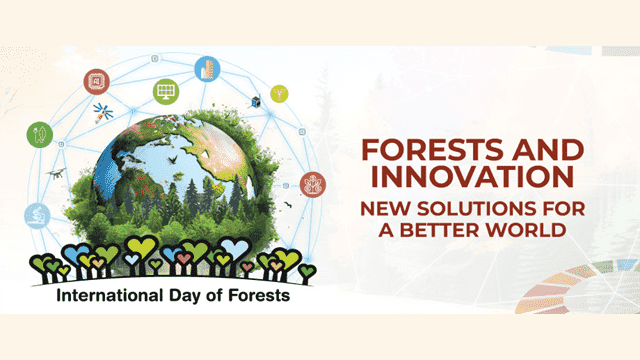 Comemoração do dia international da Floresta 2024