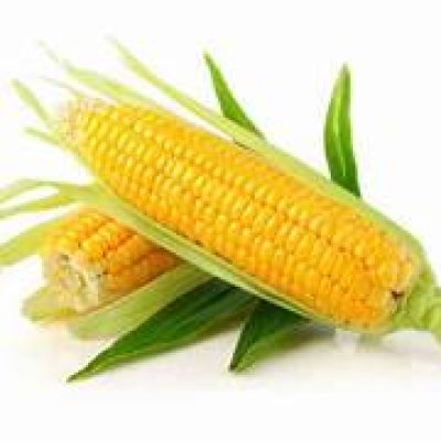 Massaroca