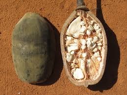 Tobizi.com